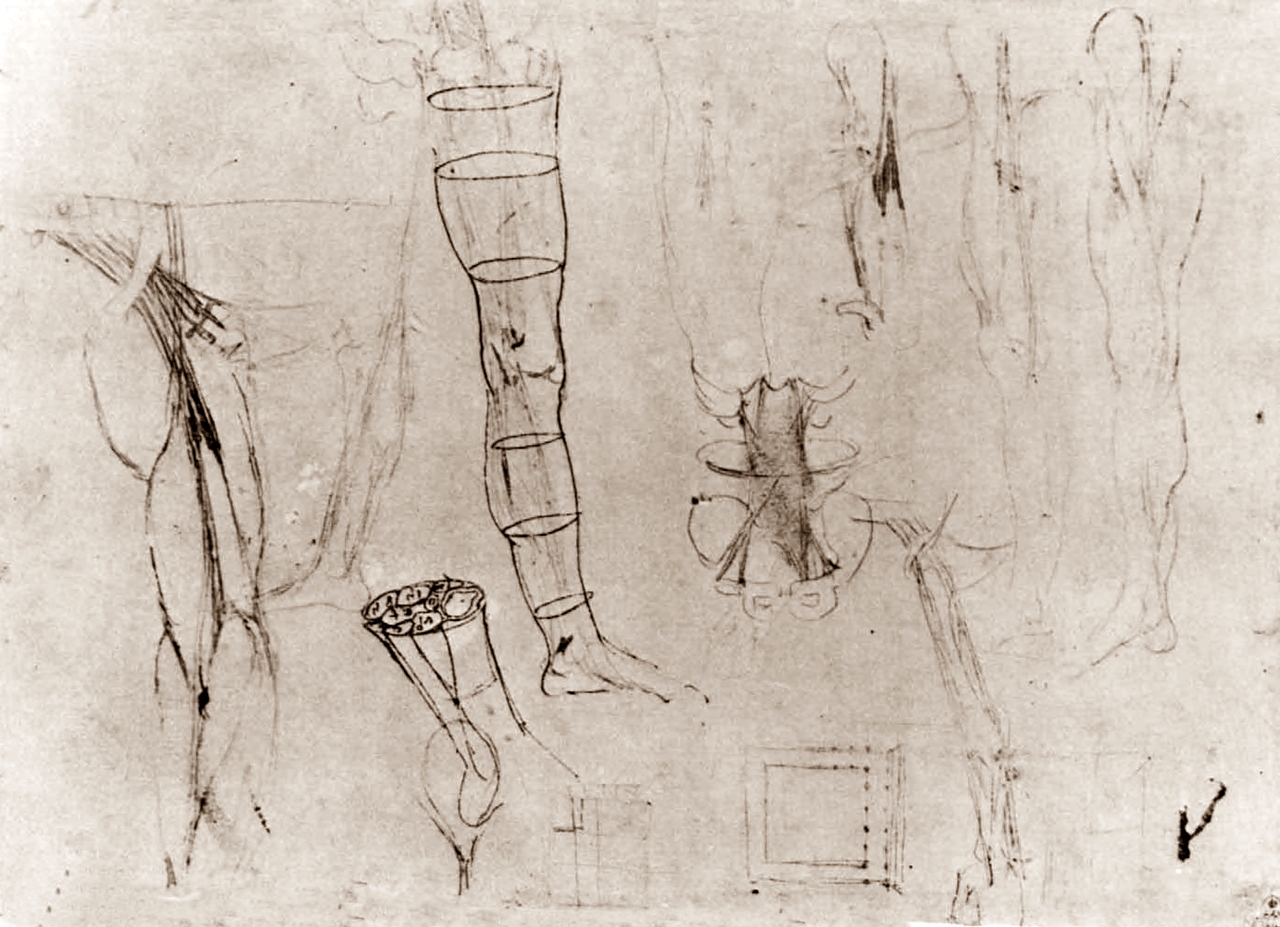 Leonardo+da+Vinci-1452-1519 (747).jpg